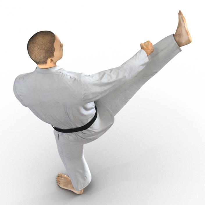 Japanese Karate Fighter Pose 2 with Fur 3D model