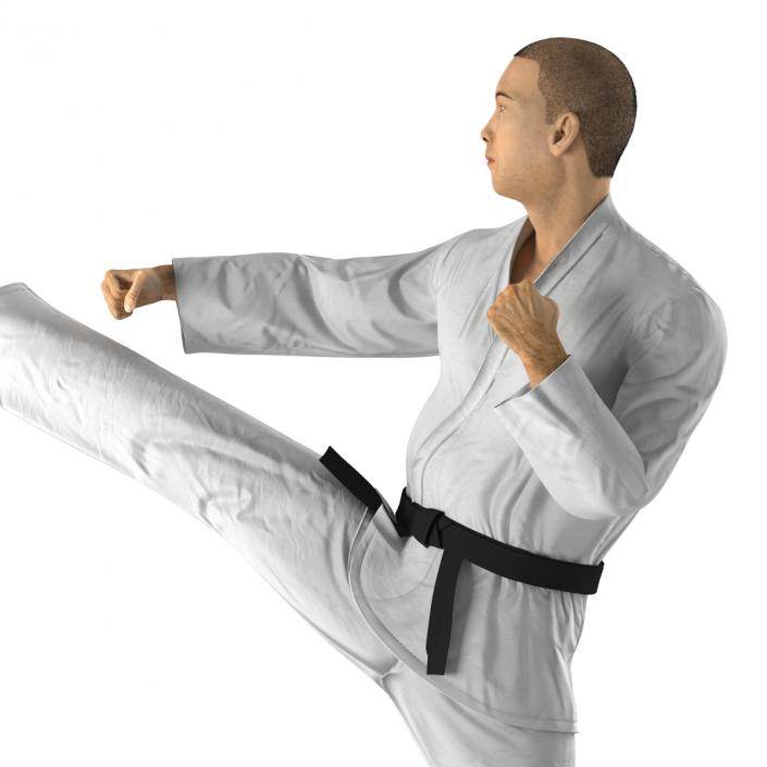 Japanese Karate Fighter Pose 2 with Fur 3D model