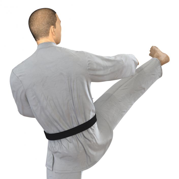 Japanese Karate Fighter Pose 2 with Fur 3D model