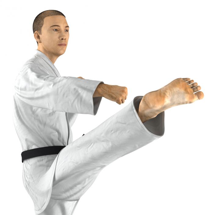 Japanese Karate Fighter Pose 2 with Fur 3D model