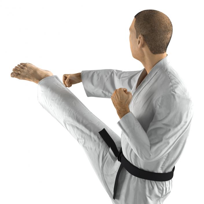 Japanese Karate Fighter Pose 2 with Fur 3D model