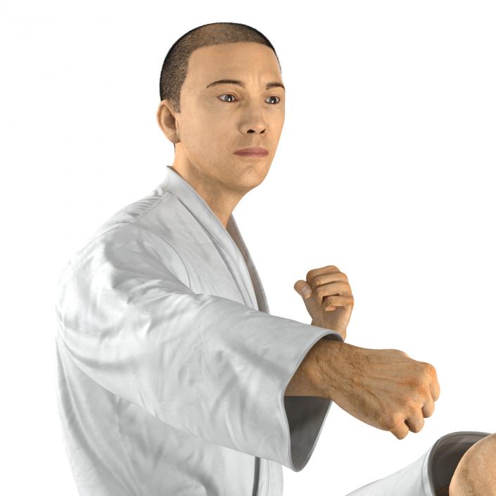 Japanese Karate Fighter Pose 2 with Fur 3D model