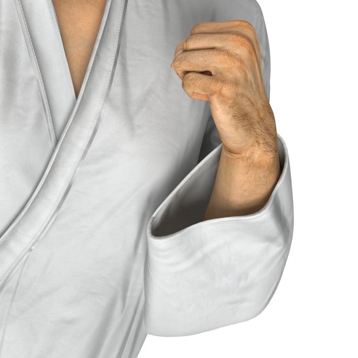 Japanese Karate Fighter Pose 2 with Fur 3D model