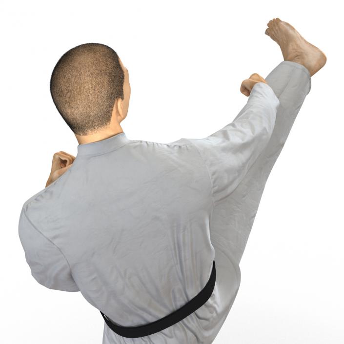 Japanese Karate Fighter Pose 2 with Fur 3D model