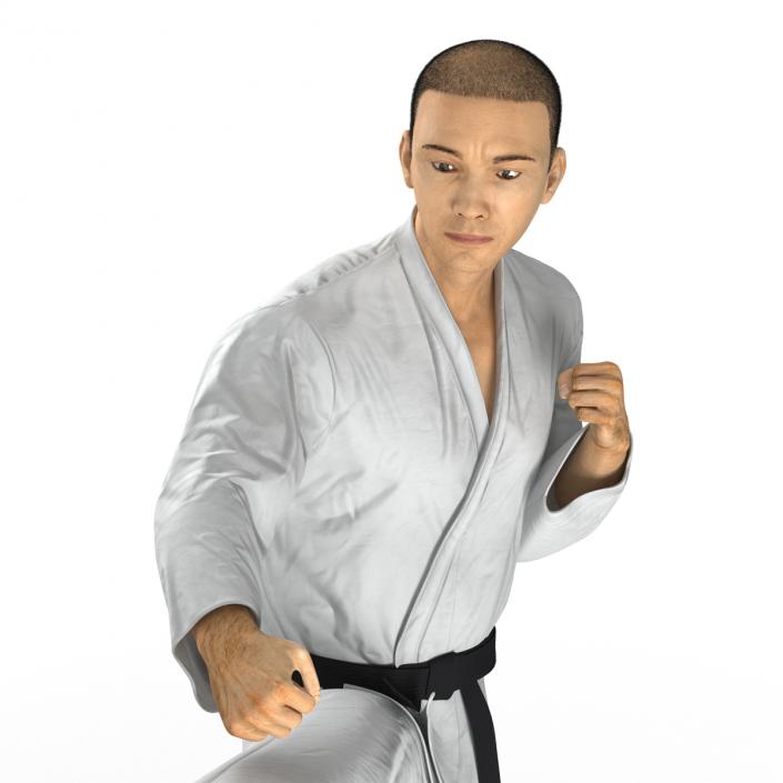 Japanese Karate Fighter Pose 2 with Fur 3D model