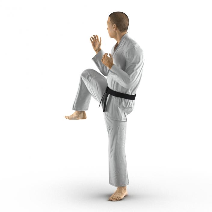 Japanese Karate Fighter Pose 3 with Fur 3D model