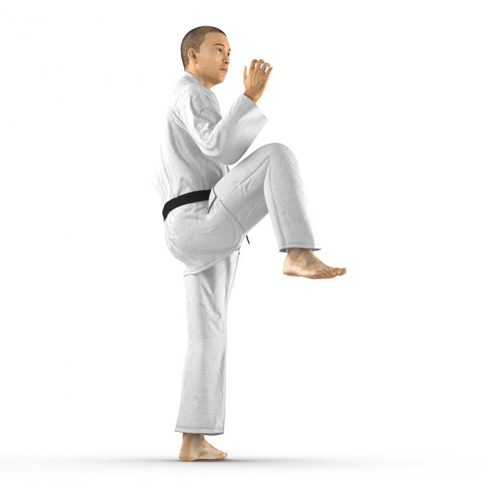 Japanese Karate Fighter Pose 3 with Fur 3D model