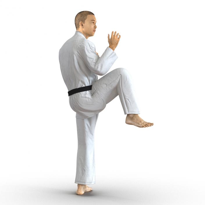 Japanese Karate Fighter Pose 3 with Fur 3D model