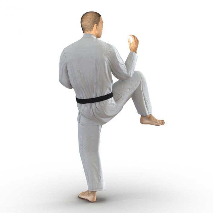 Japanese Karate Fighter Pose 3 with Fur 3D model