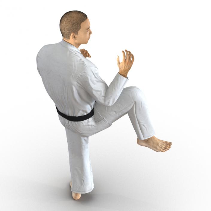 Japanese Karate Fighter Pose 3 with Fur 3D model