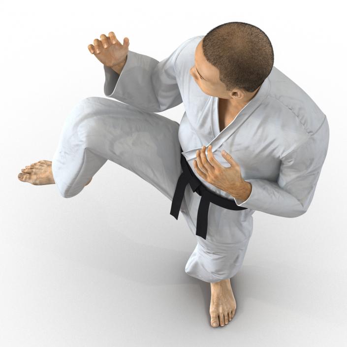 Japanese Karate Fighter Pose 3 with Fur 3D model