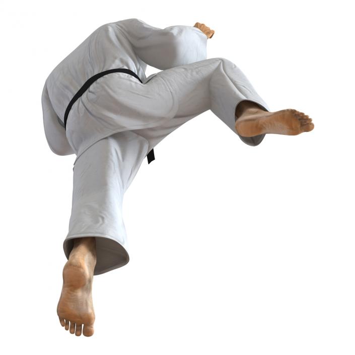 Japanese Karate Fighter Pose 3 with Fur 3D model