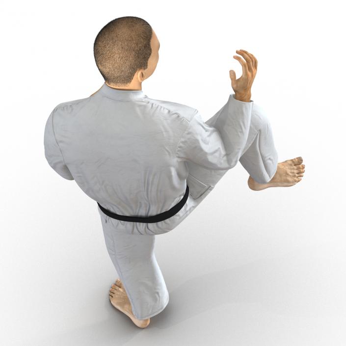 Japanese Karate Fighter Pose 3 with Fur 3D model