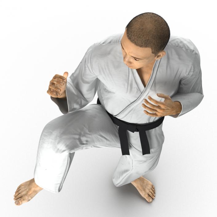 Japanese Karate Fighter Pose 3 with Fur 3D model