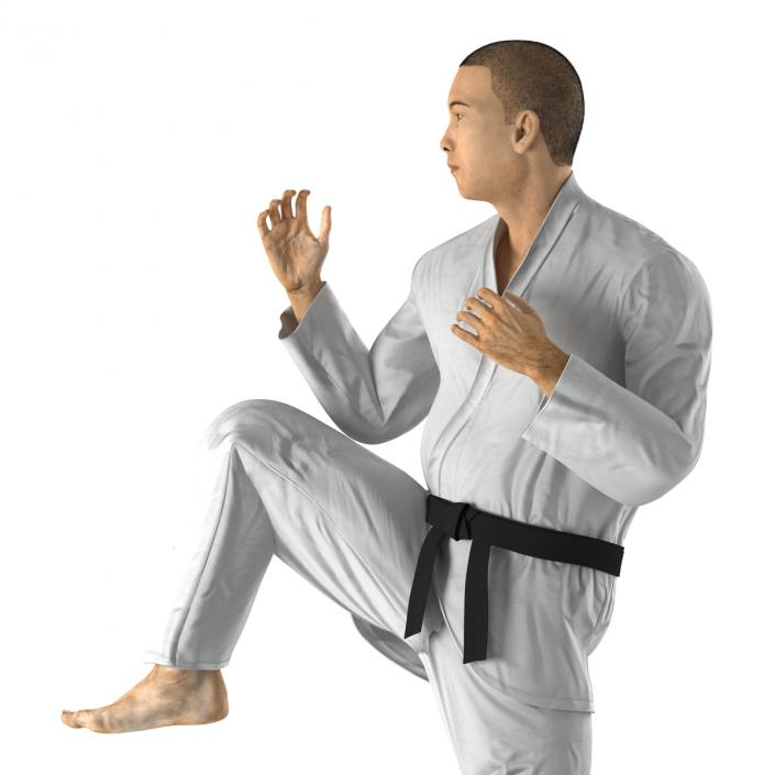 Japanese Karate Fighter Pose 3 with Fur 3D model