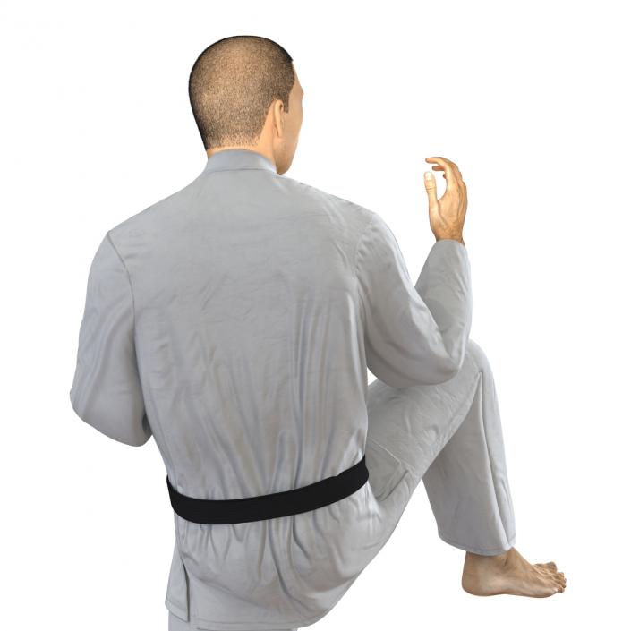 Japanese Karate Fighter Pose 3 with Fur 3D model