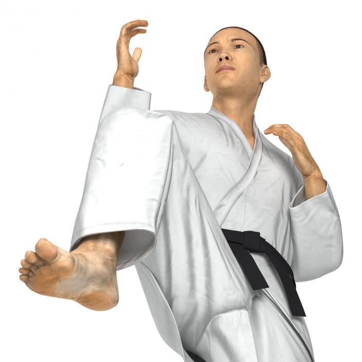 Japanese Karate Fighter Pose 3 with Fur 3D model