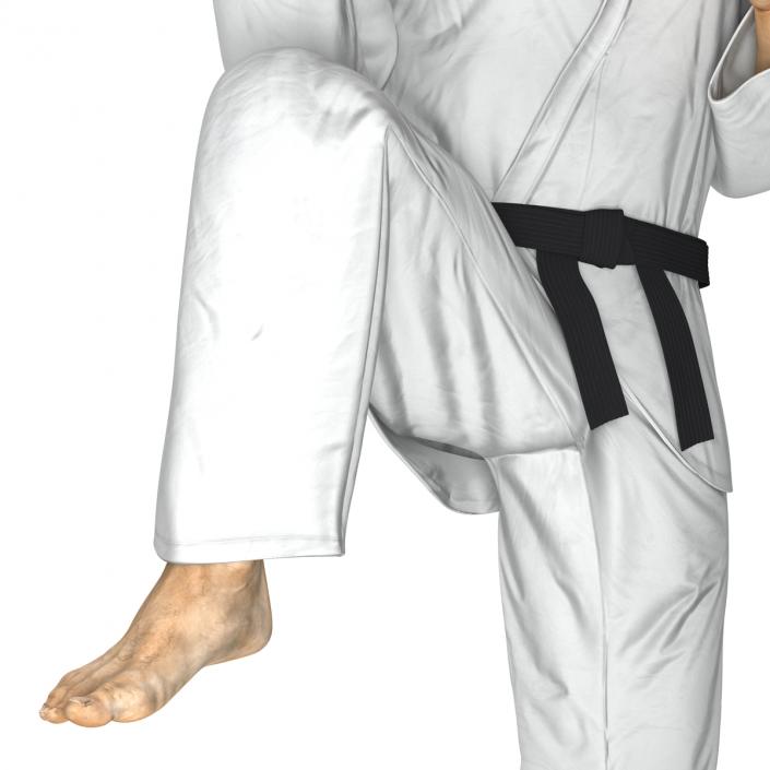 Japanese Karate Fighter Pose 3 with Fur 3D model