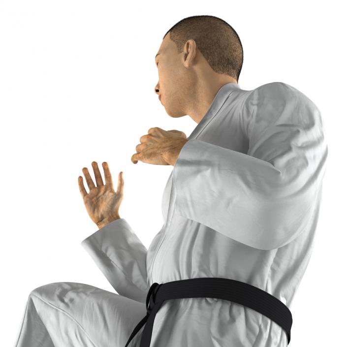 Japanese Karate Fighter Pose 3 with Fur 3D model