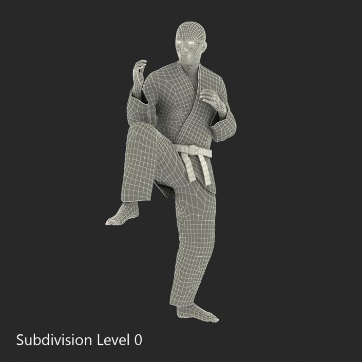 Japanese Karate Fighter Pose 3 with Fur 3D model