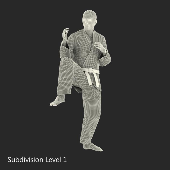 Japanese Karate Fighter Pose 3 with Fur 3D model