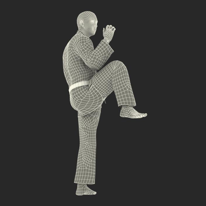 Japanese Karate Fighter Pose 3 with Fur 3D model