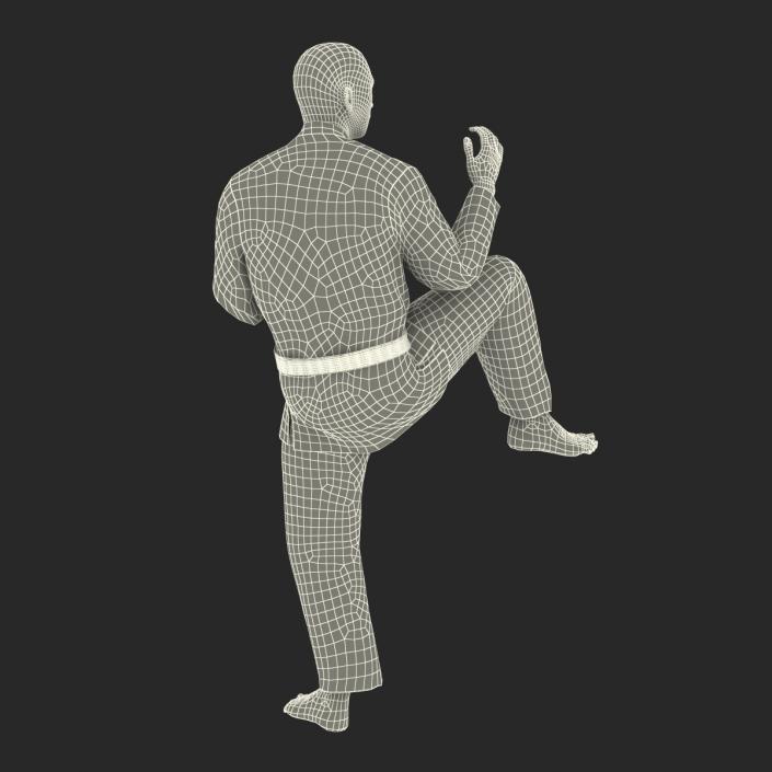 Japanese Karate Fighter Pose 3 with Fur 3D model