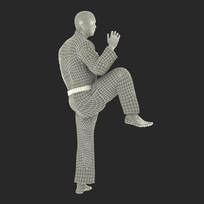 Japanese Karate Fighter Pose 3 with Fur 3D model