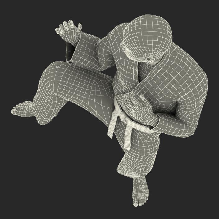 Japanese Karate Fighter Pose 3 with Fur 3D model