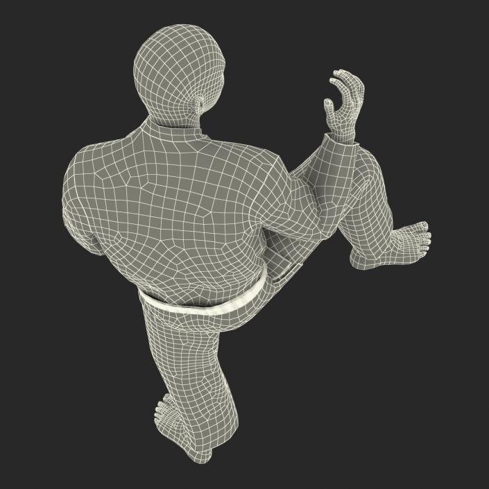 Japanese Karate Fighter Pose 3 with Fur 3D model