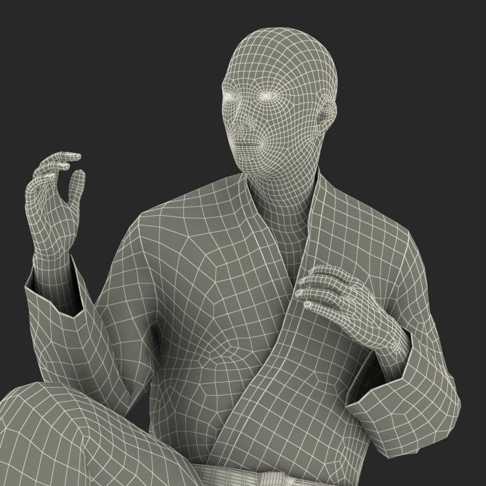 Japanese Karate Fighter Pose 3 with Fur 3D model