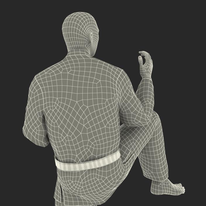 Japanese Karate Fighter Pose 3 with Fur 3D model