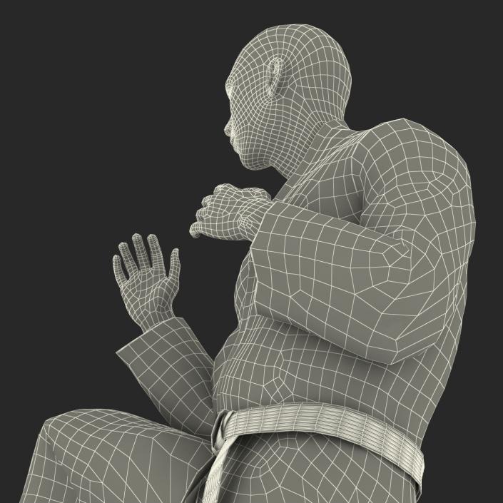 Japanese Karate Fighter Pose 3 with Fur 3D model