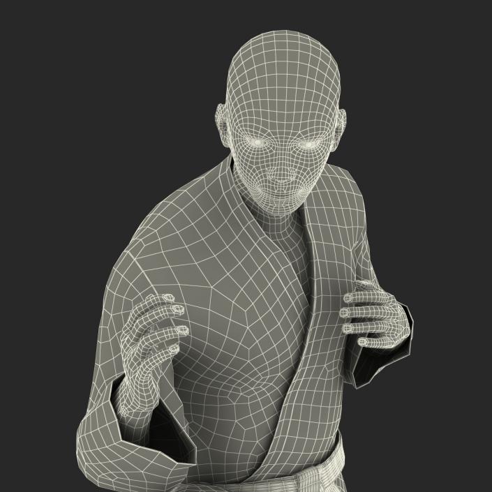 Japanese Karate Fighter Pose 3 with Fur 3D model