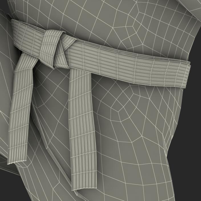 Japanese Karate Fighter Pose 3 with Fur 3D model