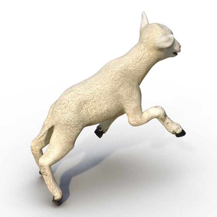 3D Lamb Pose 3