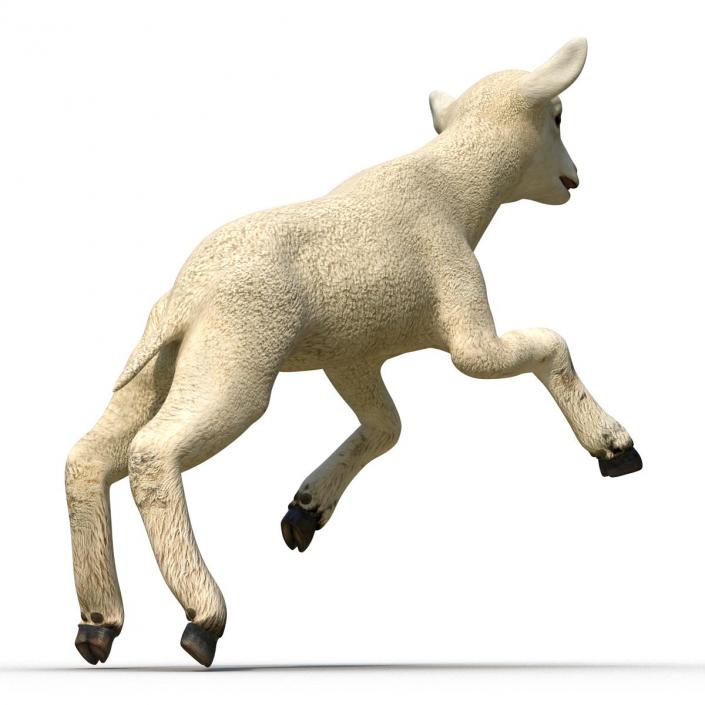 3D Lamb Pose 3