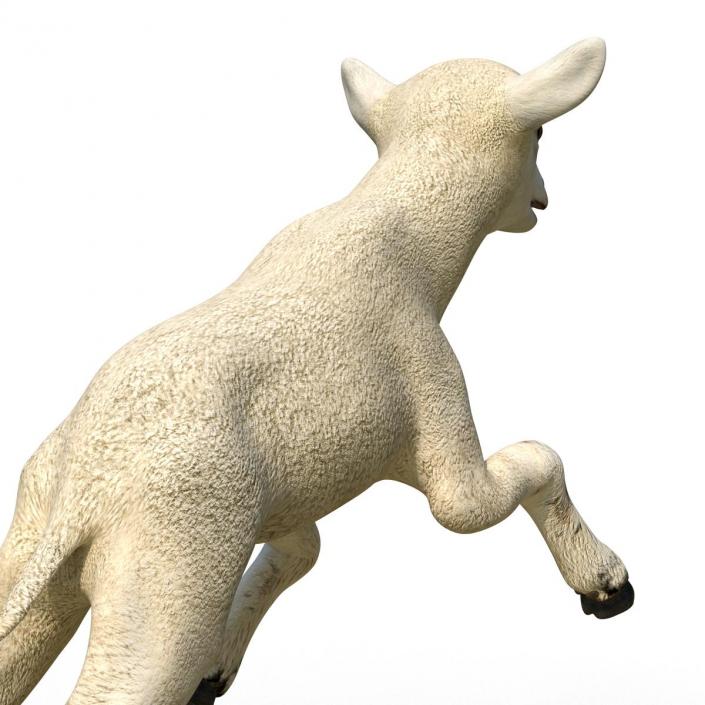 3D Lamb Pose 3