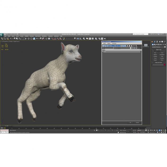 3D Lamb Pose 3