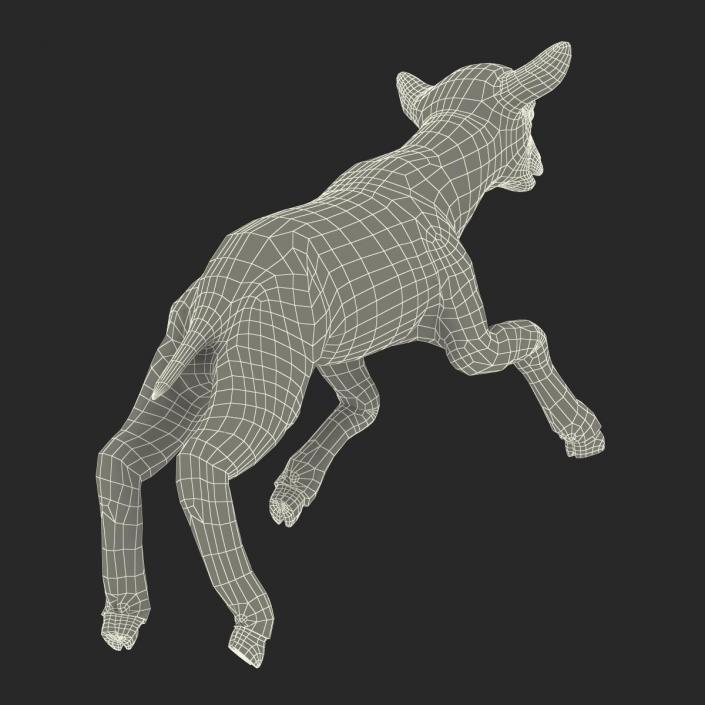 3D Lamb Pose 3