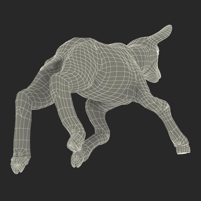 3D Lamb Pose 3