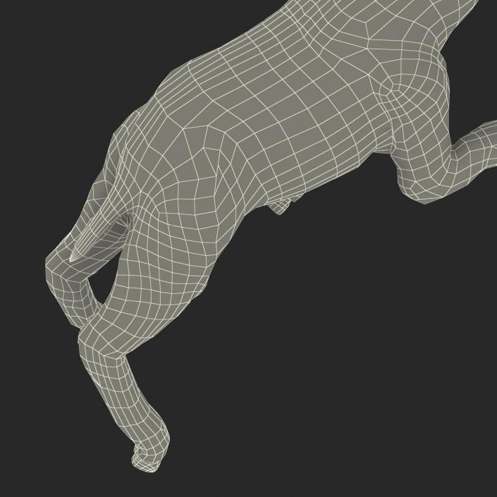 3D Lamb Pose 3