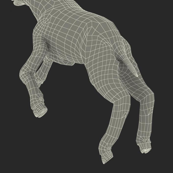 3D Lamb Pose 3