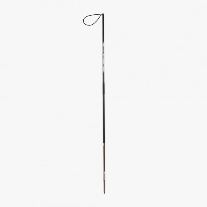 3D Underwater Pole Spears Collection model