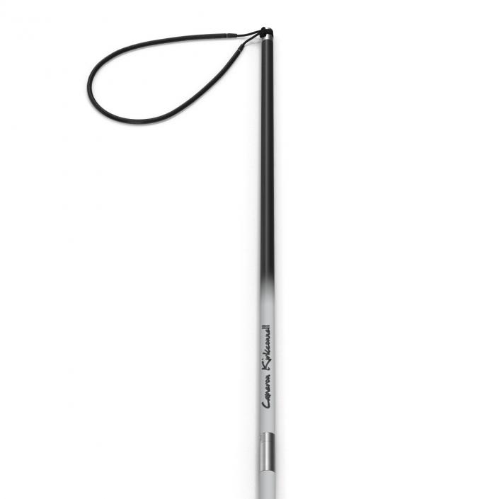 3D Underwater Pole Spear