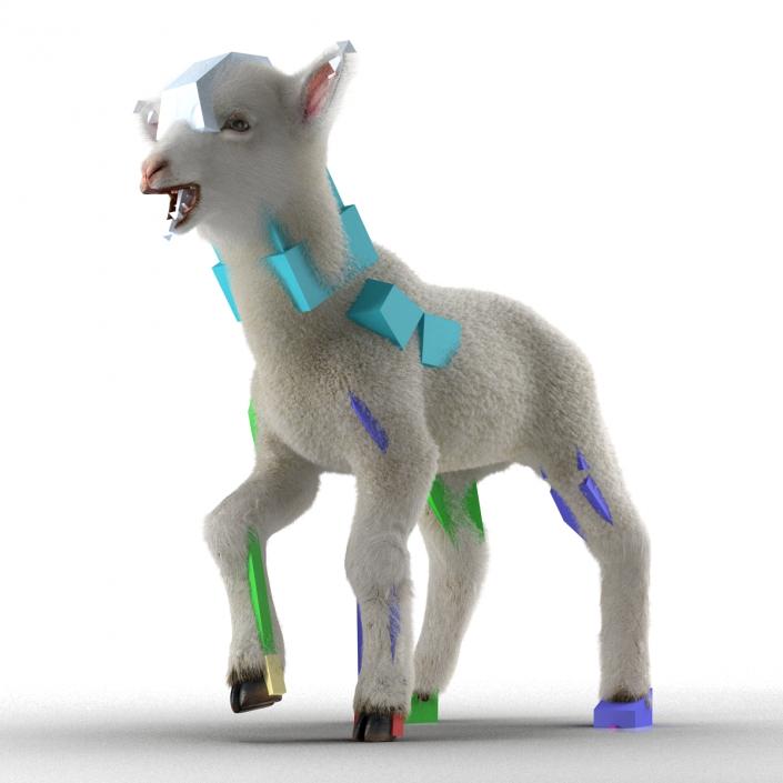 3D model Lamb Rigged with Fur