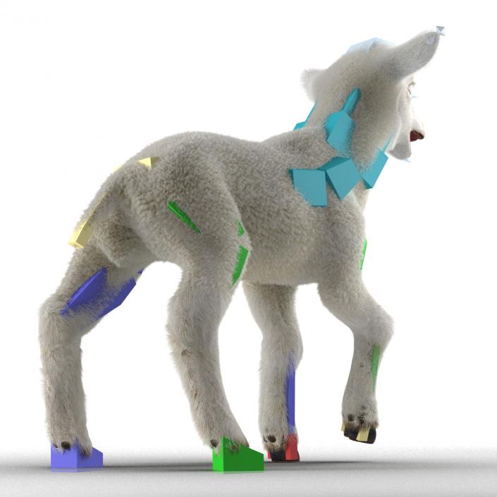 3D model Lamb Rigged with Fur