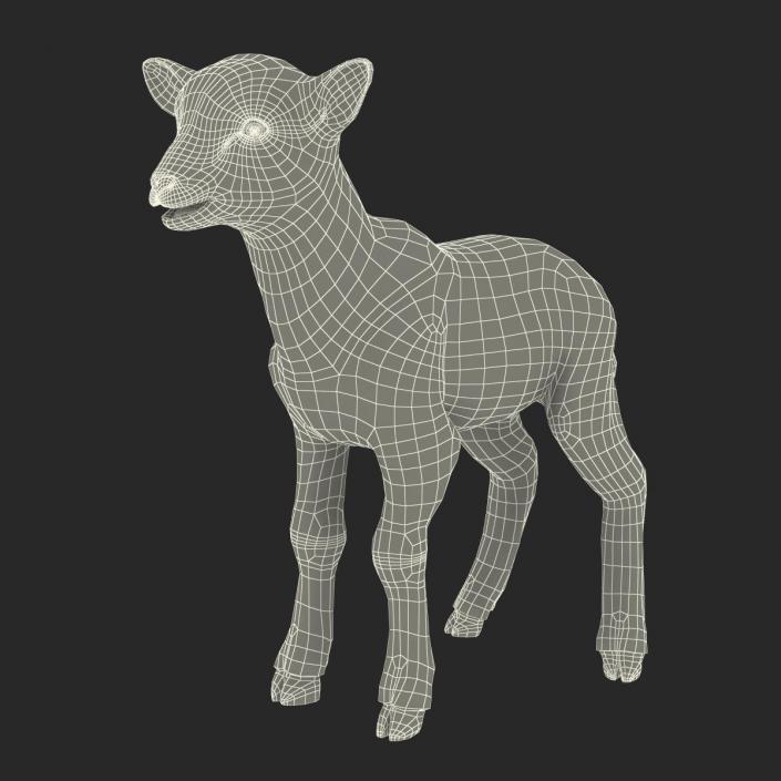 3D model Lamb Rigged with Fur