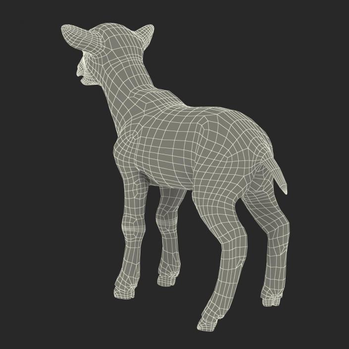 3D model Lamb Rigged with Fur