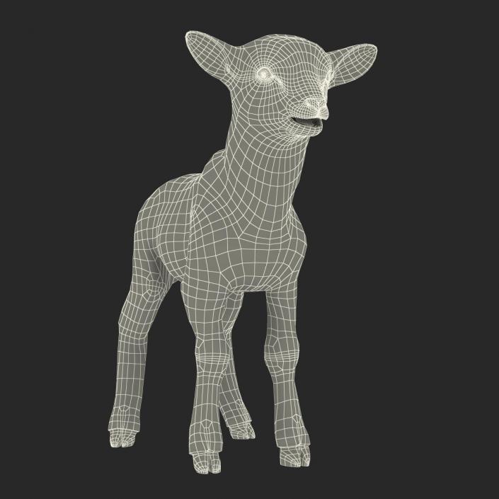 3D model Lamb Rigged with Fur